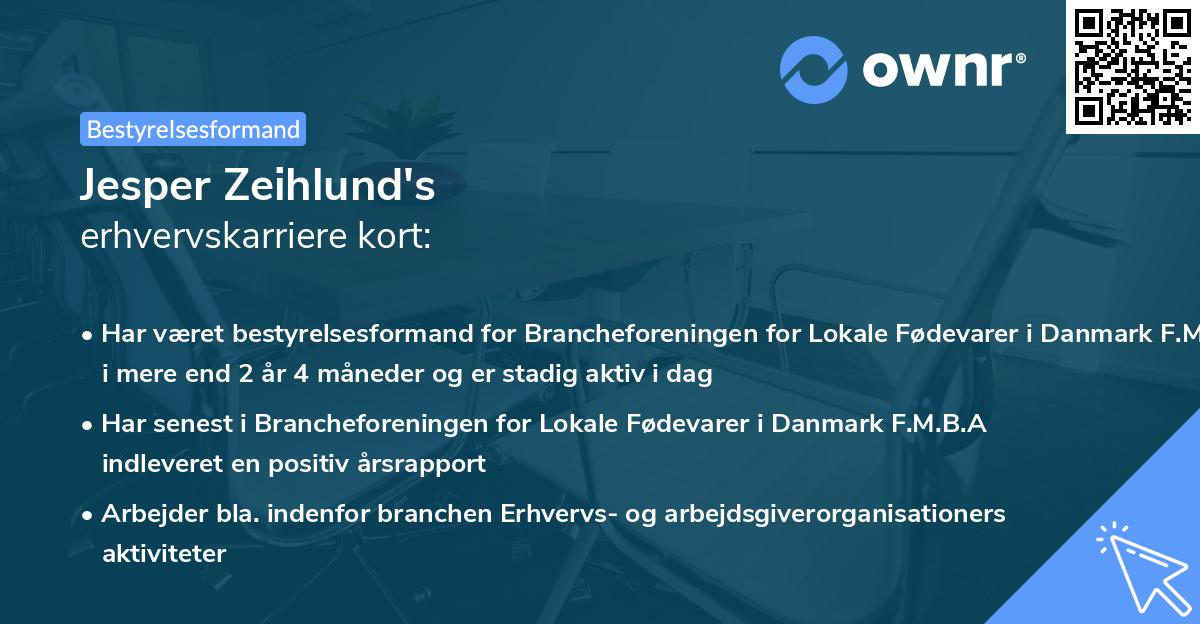 Jesper Zeihlund's erhvervskarriere kort