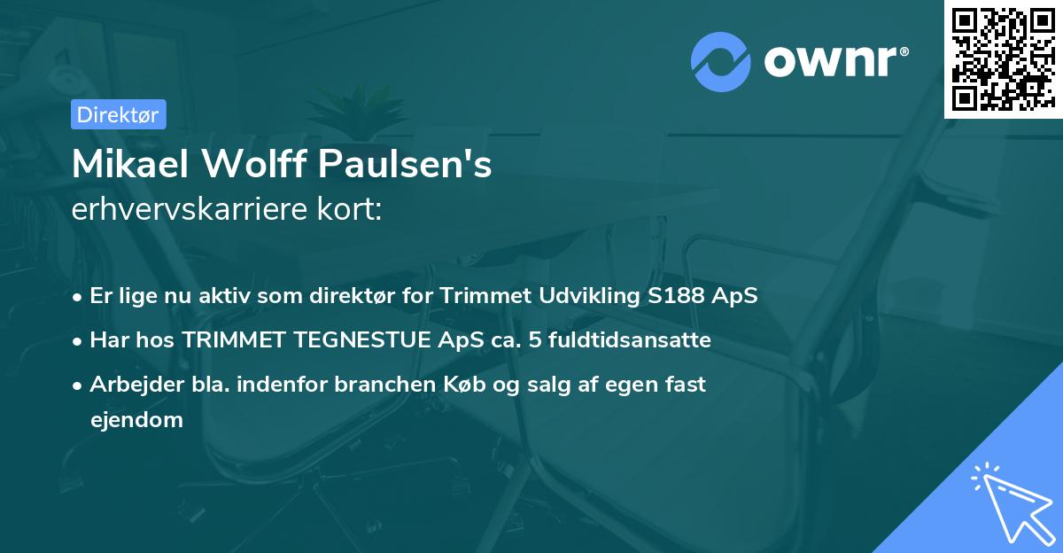 Mikael Wolff Paulsen's erhvervskarriere kort