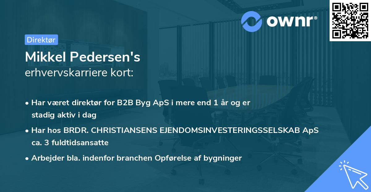 Mikkel Pedersen's erhvervskarriere kort
