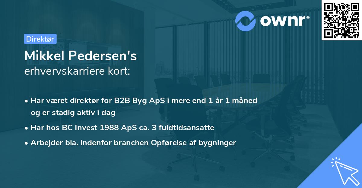 Mikkel Pedersen's erhvervskarriere kort