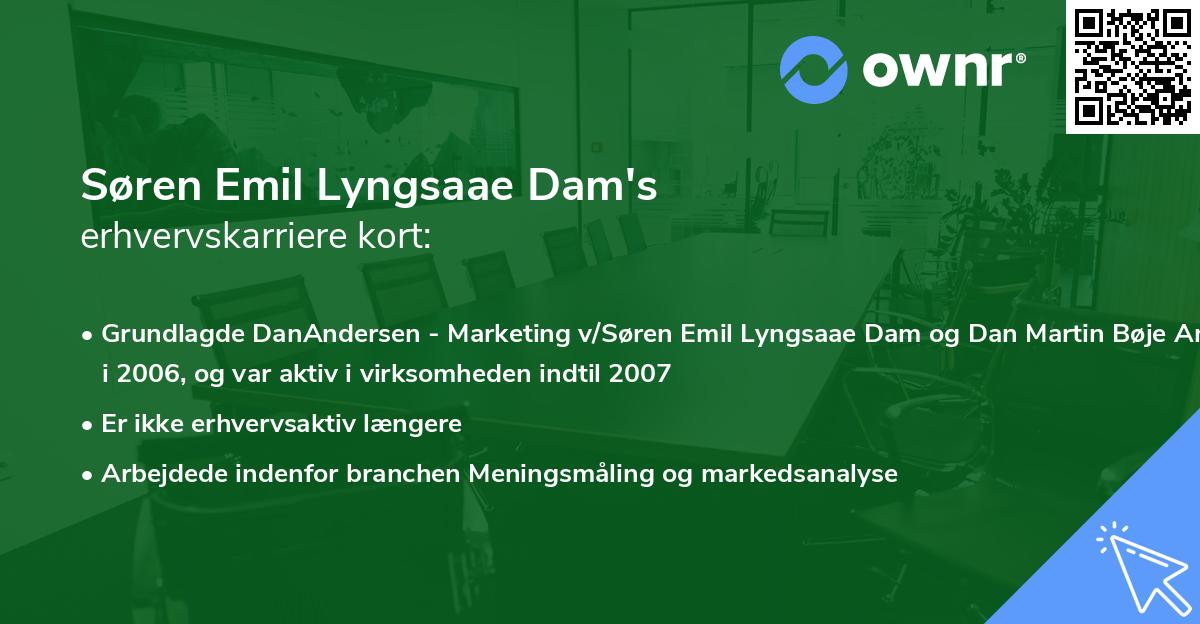 Søren Emil Lyngsaae Dam's erhvervskarriere kort