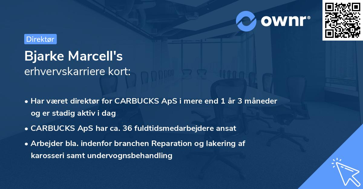 Bjarke Marcell's erhvervskarriere kort