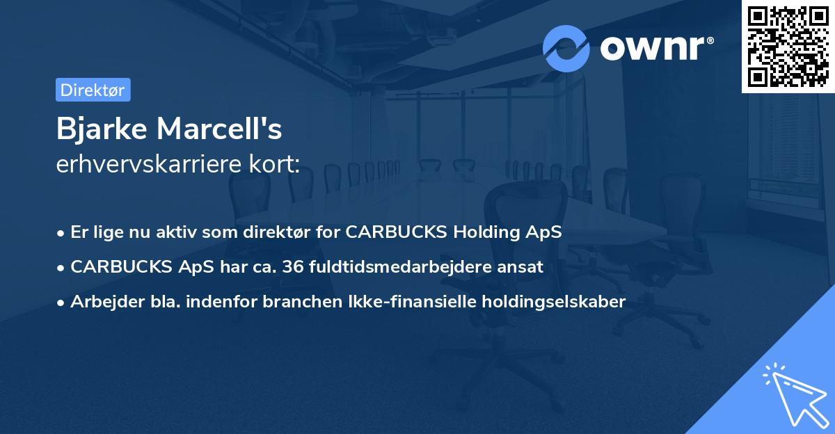 Bjarke Marcell's erhvervskarriere kort