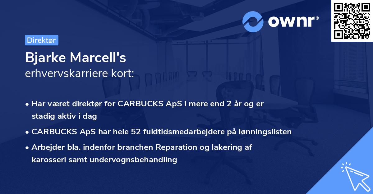 Bjarke Marcell's erhvervskarriere kort