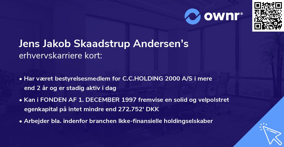Jens Jakob Skaadstrup Andersen's erhvervskarriere kort