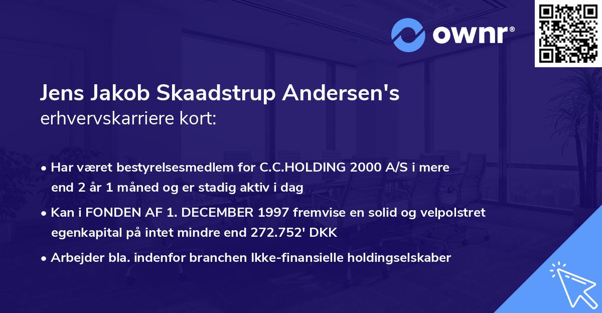Jens Jakob Skaadstrup Andersen's erhvervskarriere kort