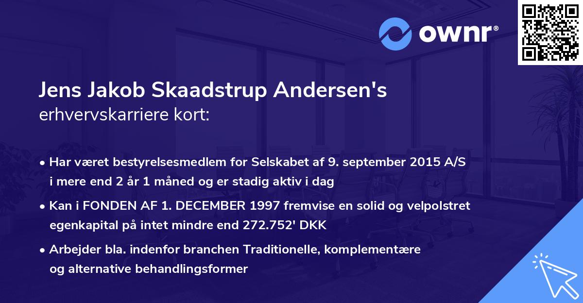 Jens Jakob Skaadstrup Andersen's erhvervskarriere kort
