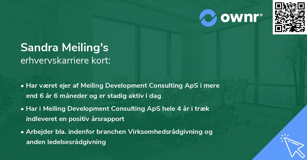 Sandra Meiling's erhvervskarriere kort