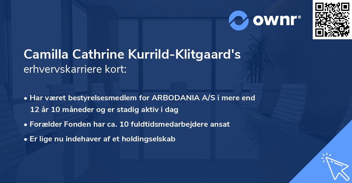 Camilla Cathrine Kurrild-Klitgaard's erhvervskarriere kort