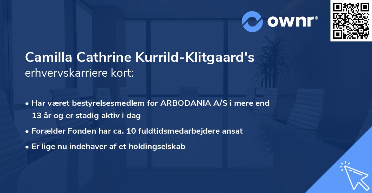 Camilla Cathrine Kurrild-Klitgaard's erhvervskarriere kort