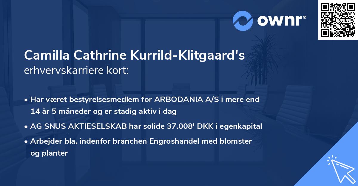 Camilla Cathrine Kurrild-Klitgaard's erhvervskarriere kort