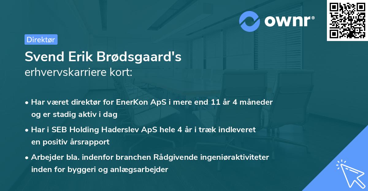 Svend Erik Brødsgaard's erhvervskarriere kort