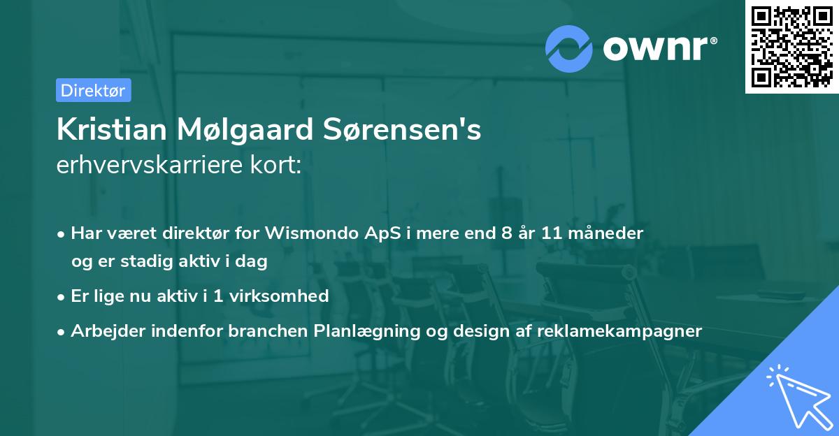 Kristian Mølgaard Sørensen's erhvervskarriere kort