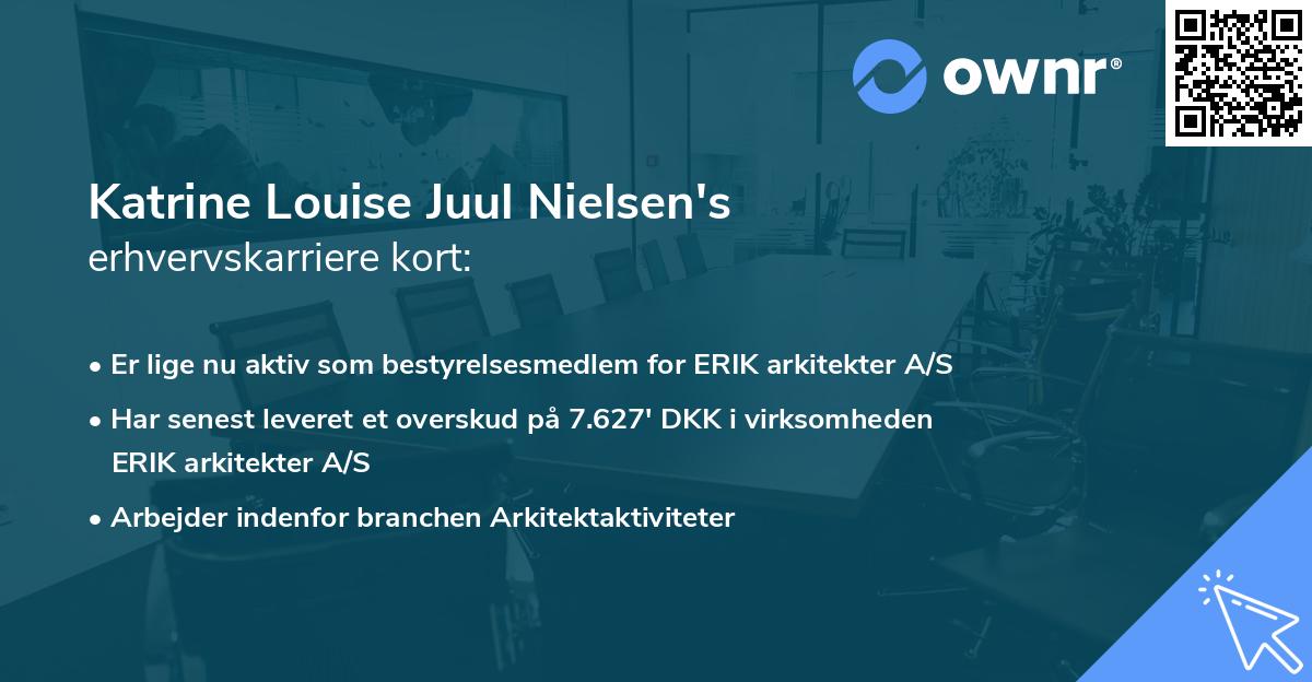 Katrine Louise Juul Nielsen's erhvervskarriere kort