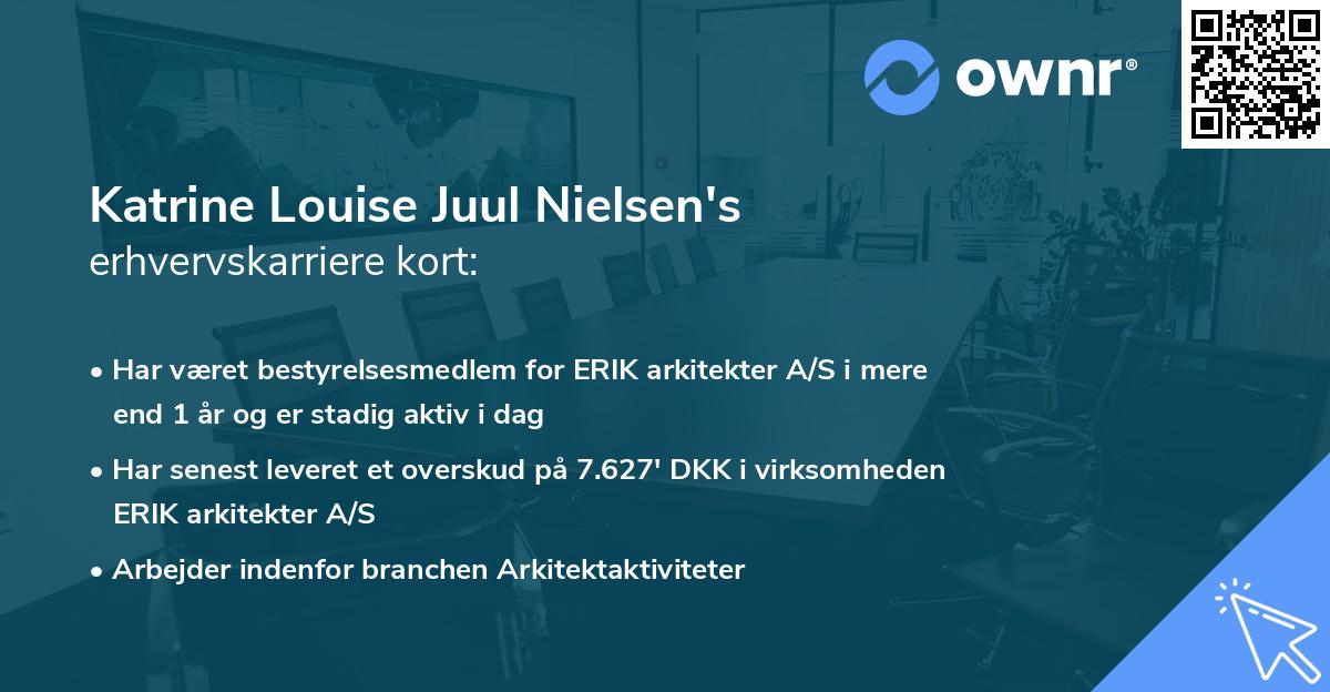 Katrine Louise Juul Nielsen's erhvervskarriere kort