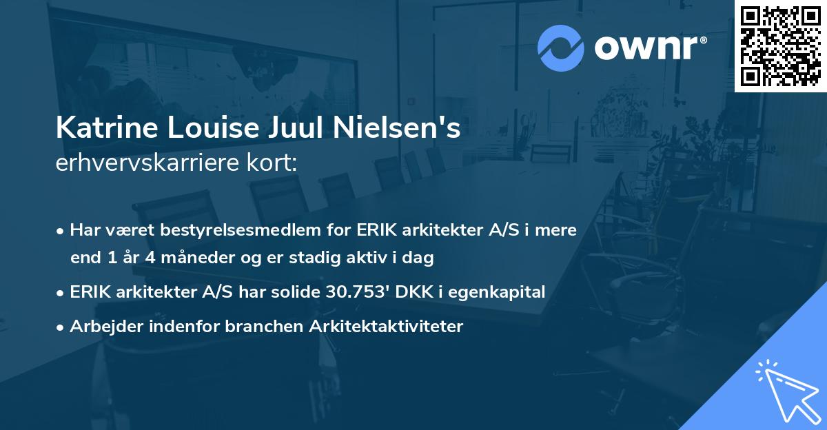 Katrine Louise Juul Nielsen's erhvervskarriere kort