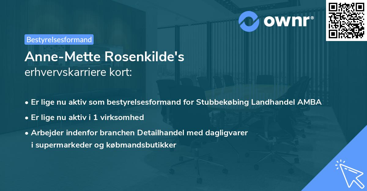 Anne-Mette Rosenkilde's erhvervskarriere kort