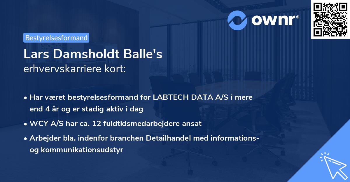 Lars Damsholdt Balle's erhvervskarriere kort