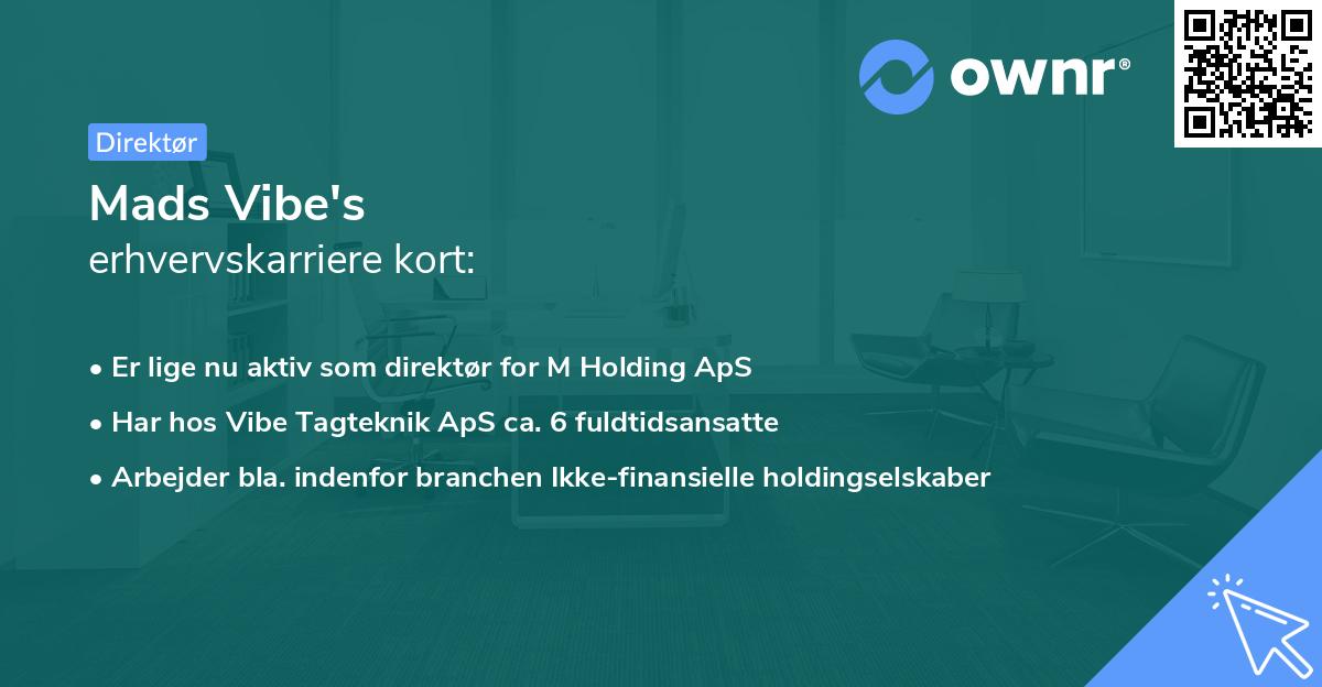 Mads Vibe's erhvervskarriere kort