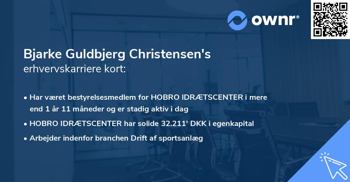 Bjarke Guldbjerg Christensen's erhvervskarriere kort