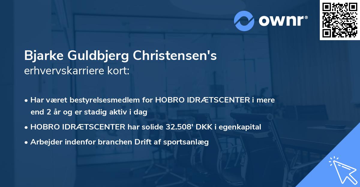 Bjarke Guldbjerg Christensen's erhvervskarriere kort