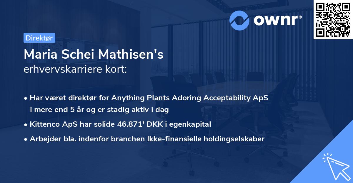 Maria Schei Mathisen's erhvervskarriere kort