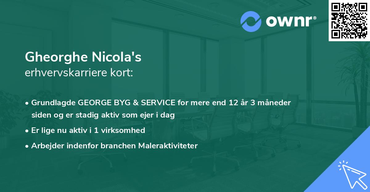 Gheorghe Nicola's erhvervskarriere kort