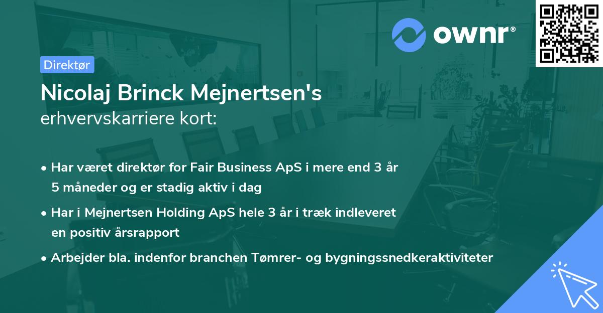 Nicolaj Brinck Mejnertsen's erhvervskarriere kort