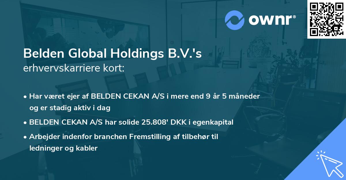 Belden Global Holdings B.V.'s erhvervskarriere kort