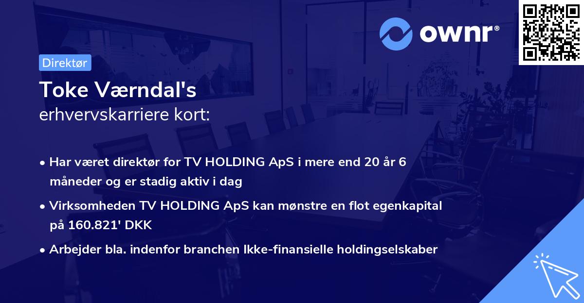 Toke Værndal's erhvervskarriere kort