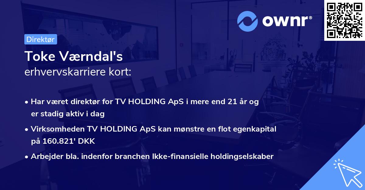 Toke Værndal's erhvervskarriere kort