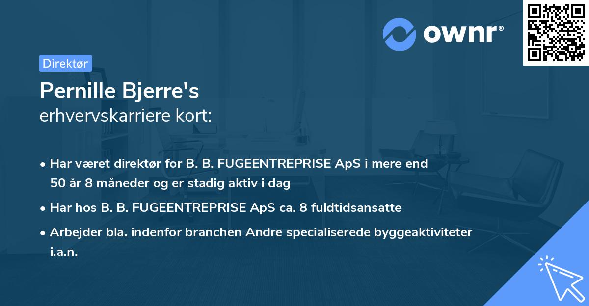 Pernille Bjerre's erhvervskarriere kort