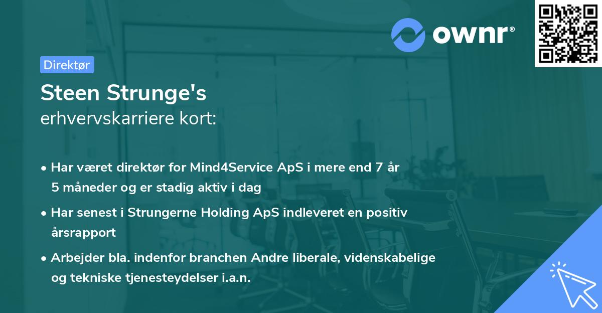 Steen Strunge's erhvervskarriere kort