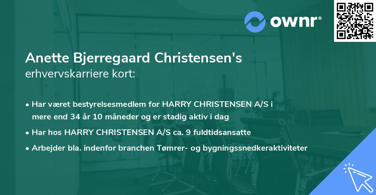 Anette Bjerregaard Christensen's erhvervskarriere kort