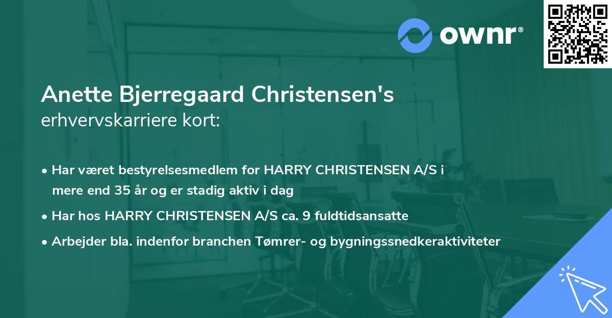 Anette Bjerregaard Christensen's erhvervskarriere kort