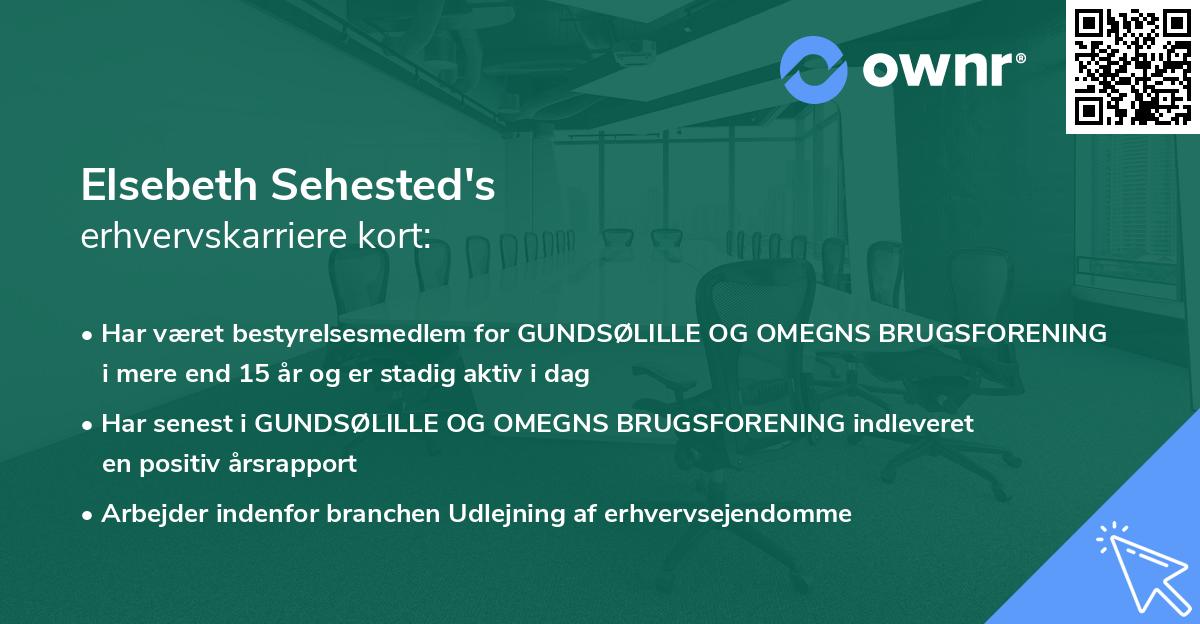 Elsebeth Sehested's erhvervskarriere kort