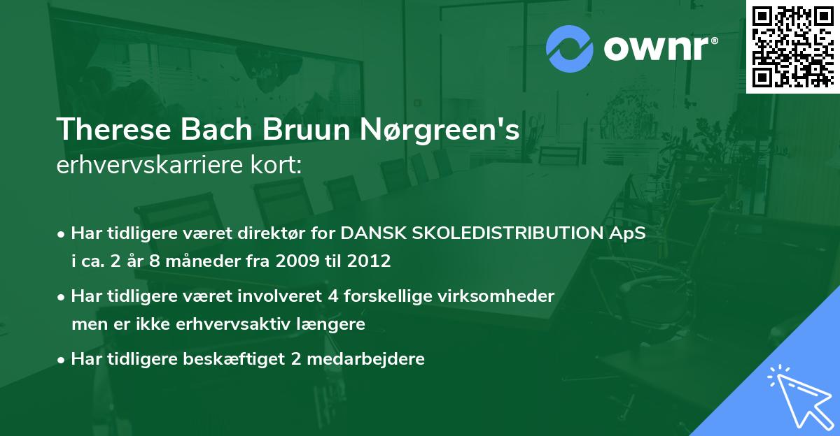 Therese Bach Bruun Nørgreen's erhvervskarriere kort