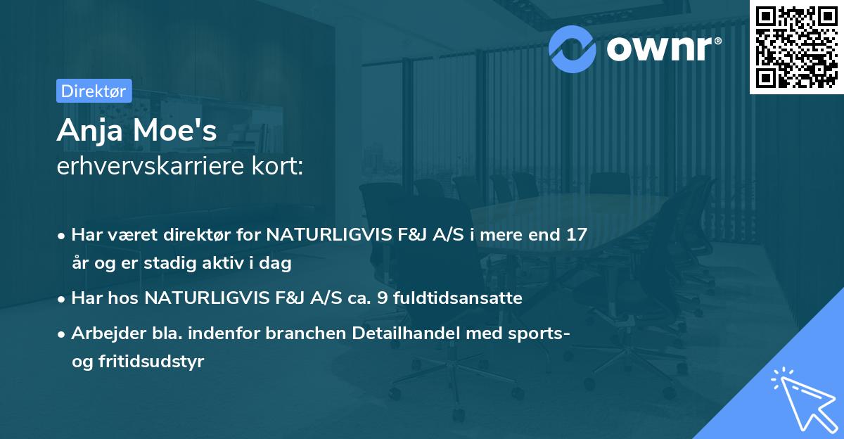 Anja Moe's erhvervskarriere kort