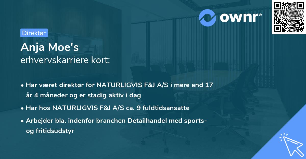 Anja Moe's erhvervskarriere kort