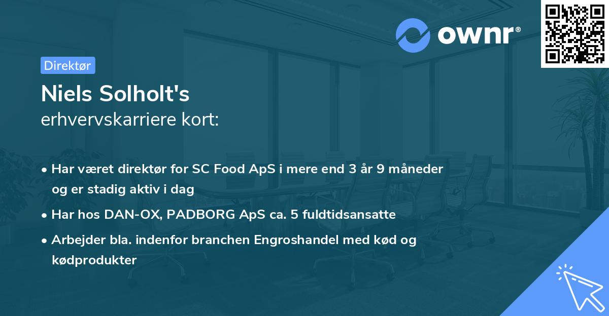 Niels Solholt's erhvervskarriere kort