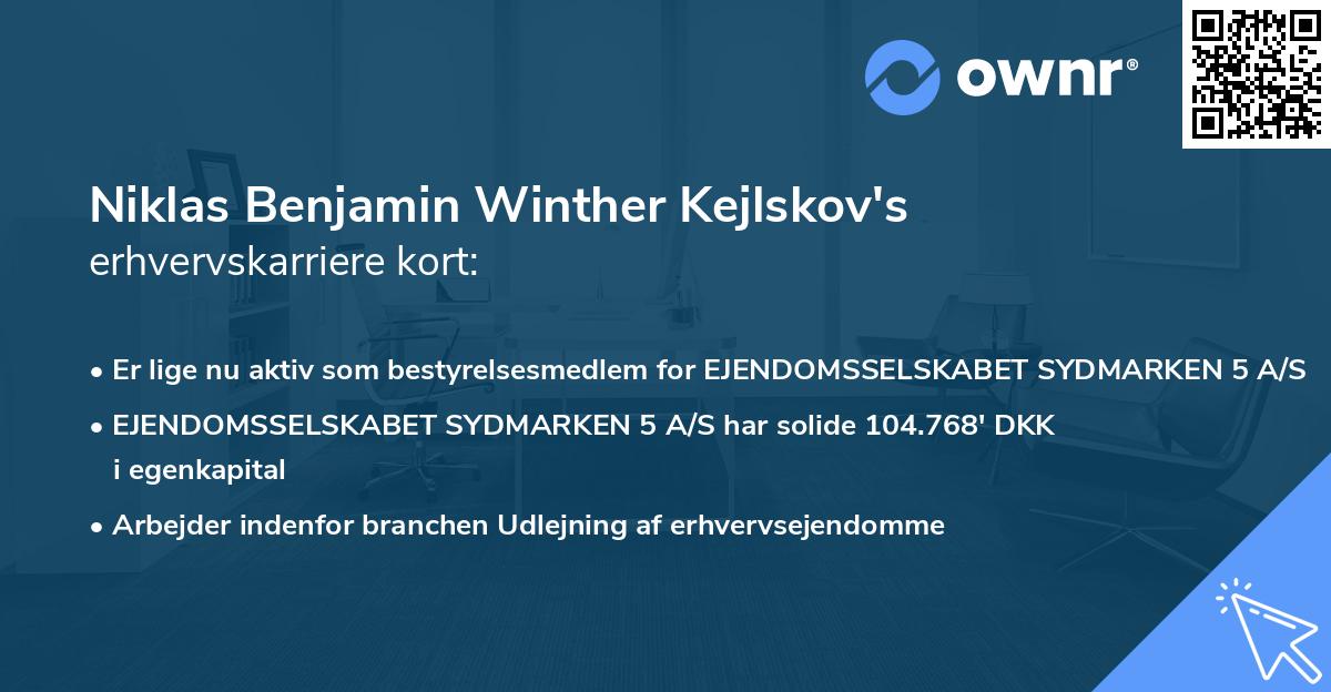 Niklas Benjamin Winther Kejlskov's erhvervskarriere kort