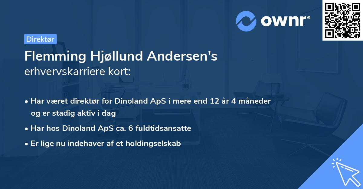 Flemming Hjøllund Andersen's erhvervskarriere kort