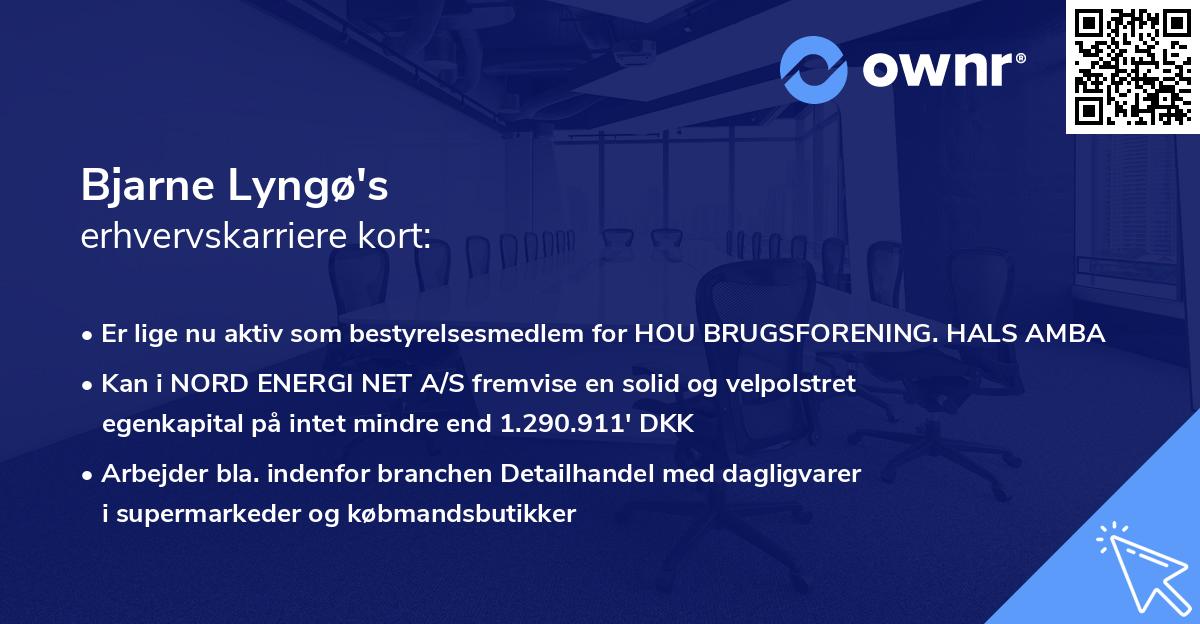 Bjarne Lyngø's erhvervskarriere kort