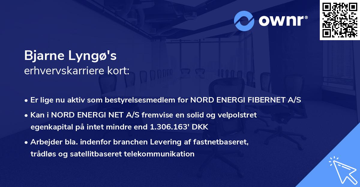 Bjarne Lyngø's erhvervskarriere kort