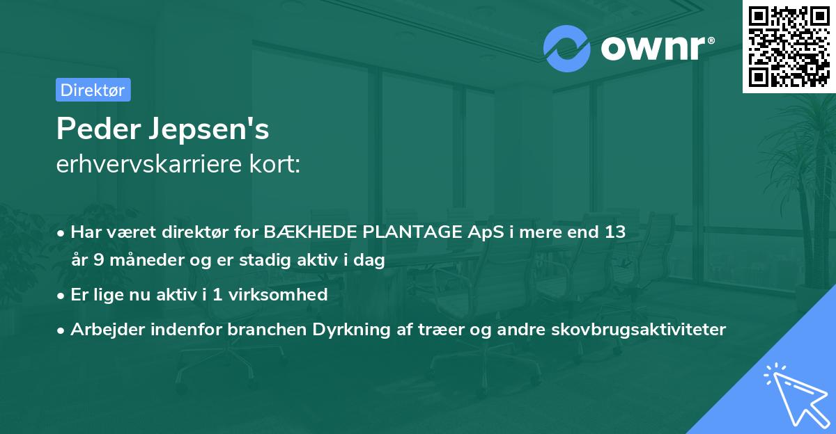 Peder Jepsen's erhvervskarriere kort