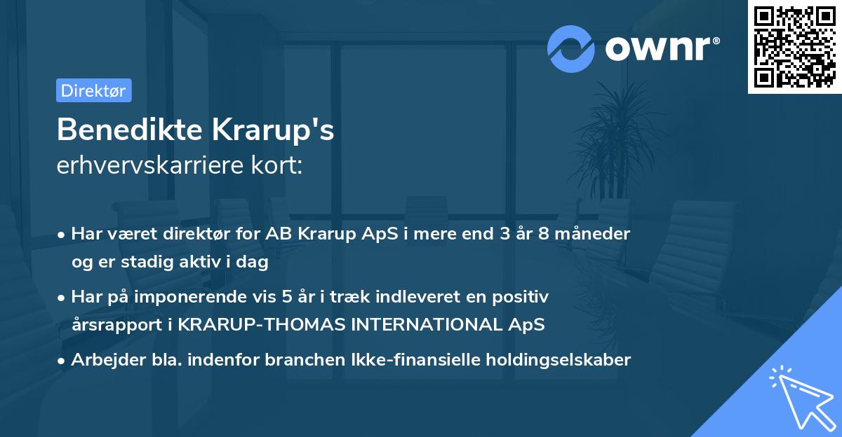 Benedikte Krarup's erhvervskarriere kort