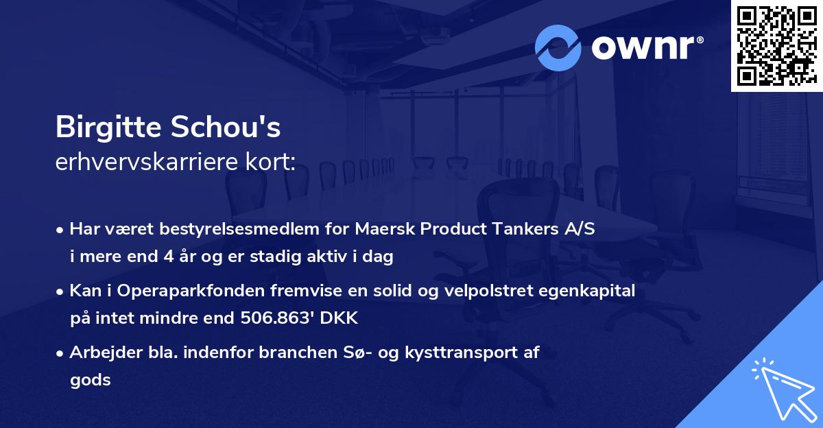 Birgitte Schou's erhvervskarriere kort