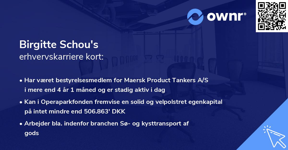 Birgitte Schou's erhvervskarriere kort