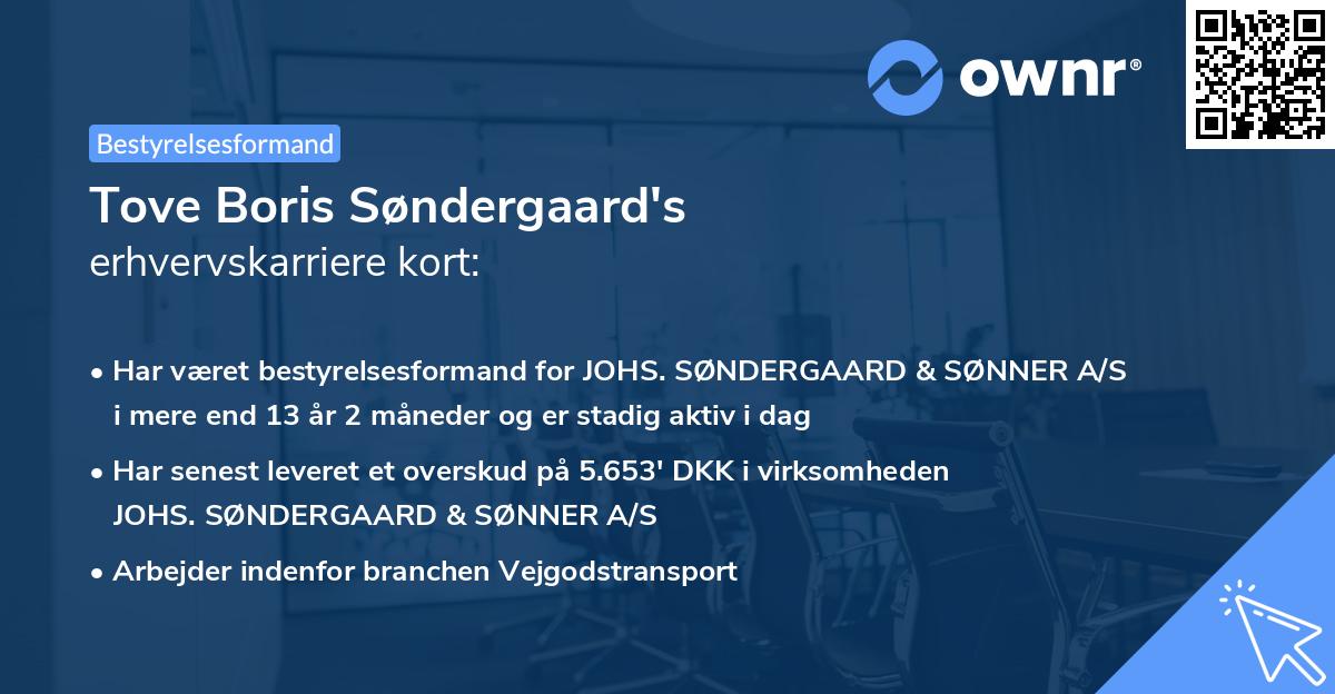 Tove Boris Søndergaard's erhvervskarriere kort