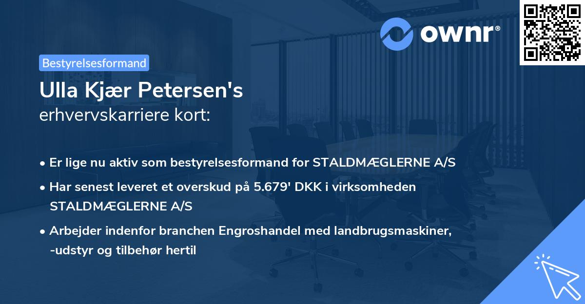 Ulla Kjær Petersen's erhvervskarriere kort